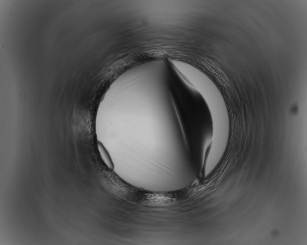 X0000099960380200806201343