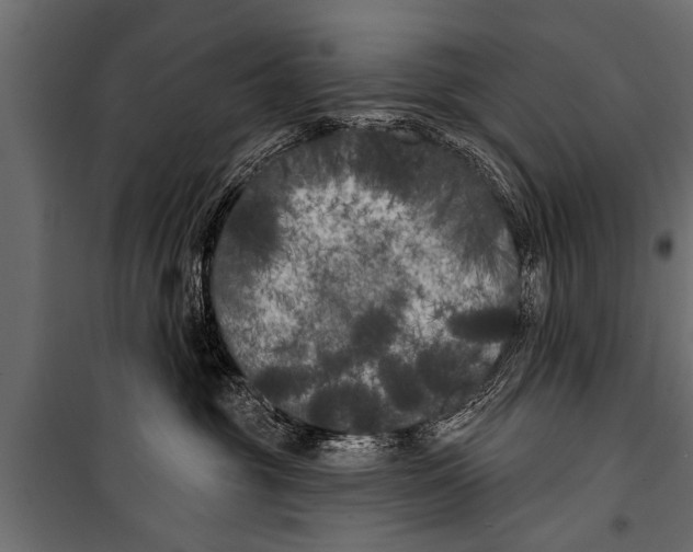 X0000099960381200806201343
