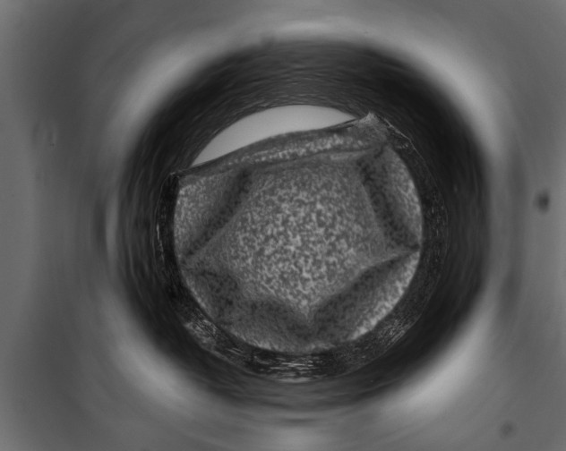 X0000099960382200806201343