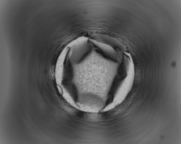 X0000099960383200806201343