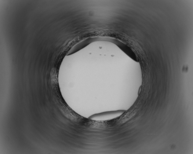 X0000099960384200806201343