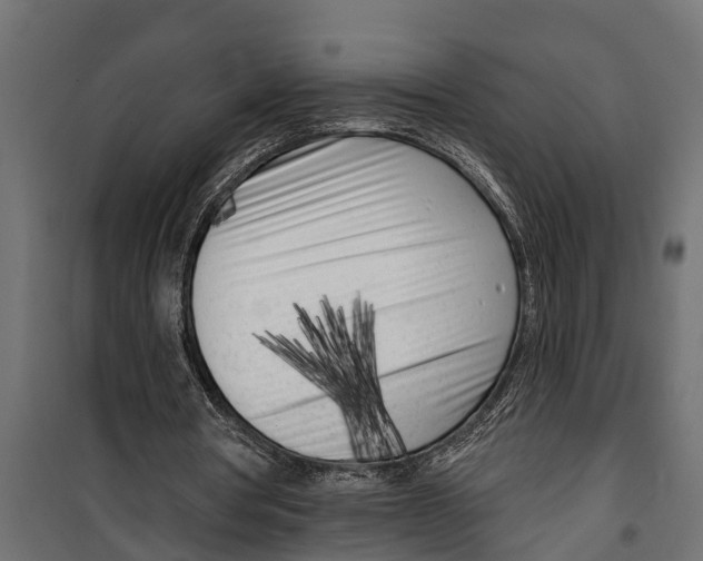 X0000099960386200806201342