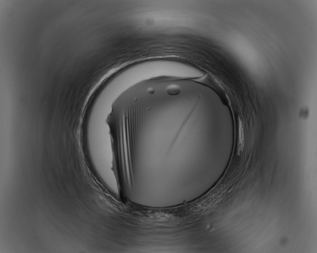 X0000099960387200806201342
