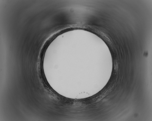 X0000099960388200806201342