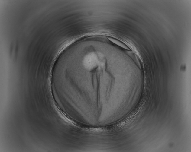 X0000099960389200806201342