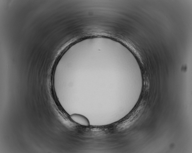 X0000099960390200806201342