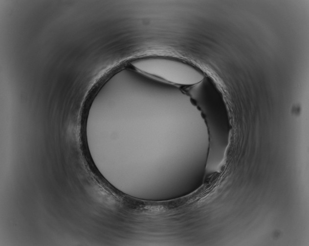 X0000099960391200806201342