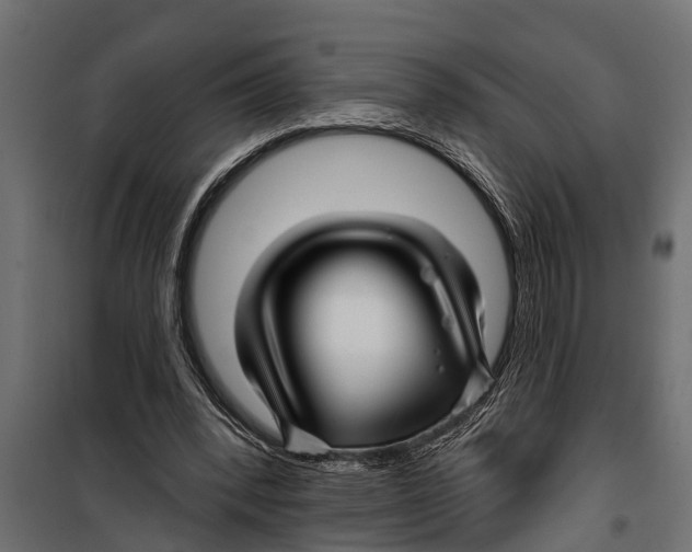 X0000099960392200806201342