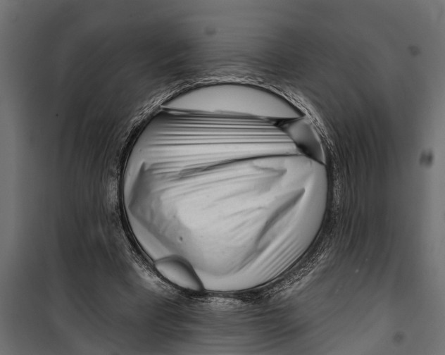 X0000099960393200806201342