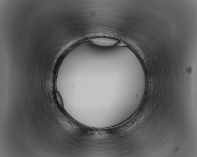 X0000099960395200806201342