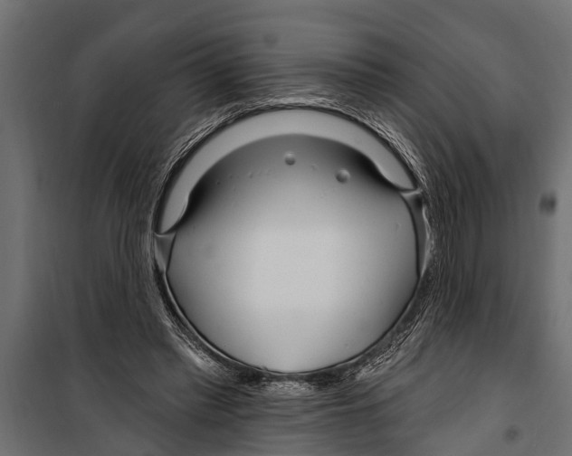 X0000099960397200806201342