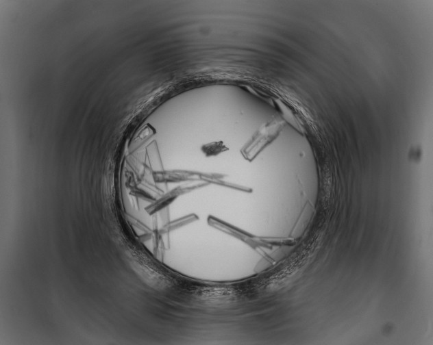 X0000099960398200806201342