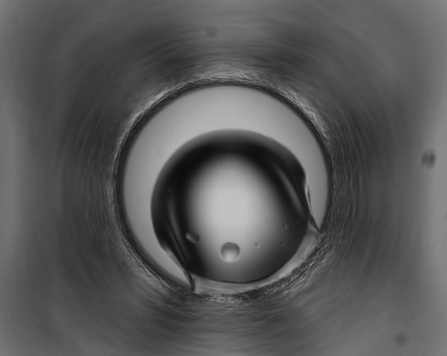 X0000099960399200806201342