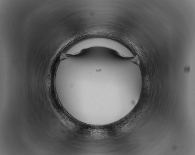 X0000099960400200806201342