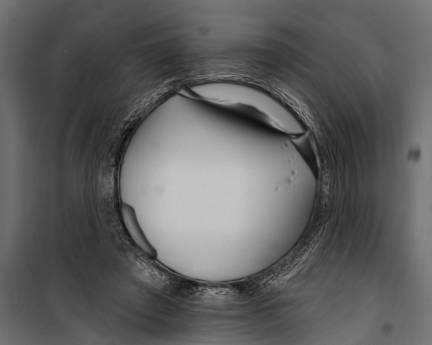 X0000099960401200806201342