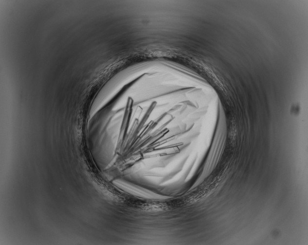 X0000099960402200806201342