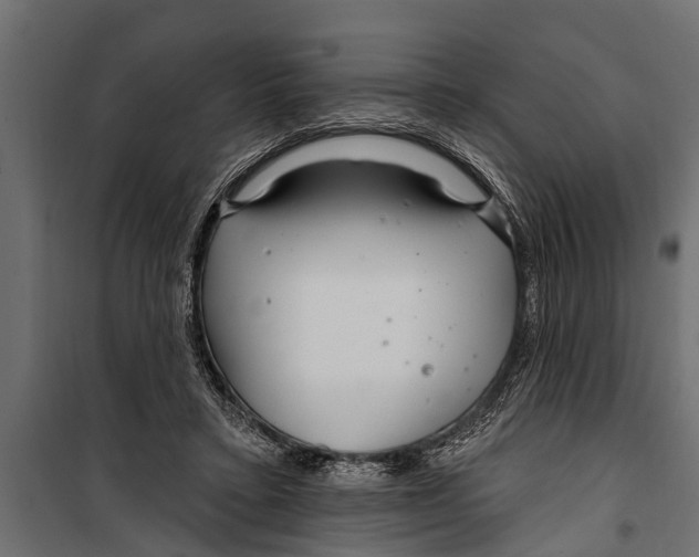 X0000099960403200806201342