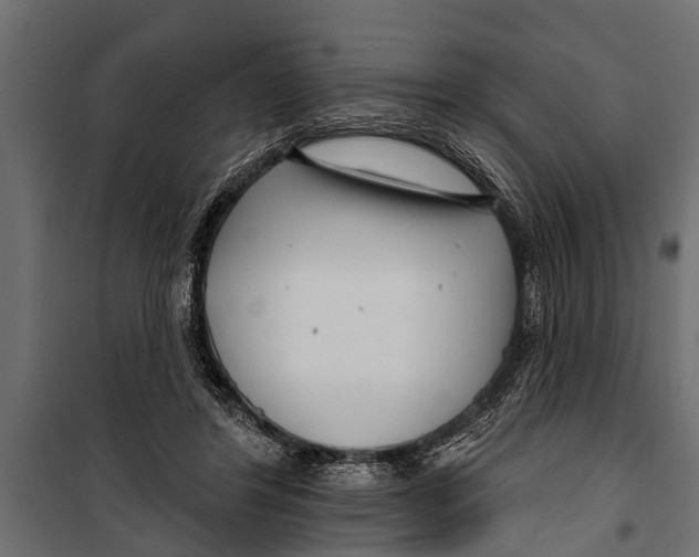 X0000099960404200806201342