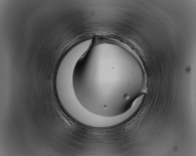 X0000099960405200806201342