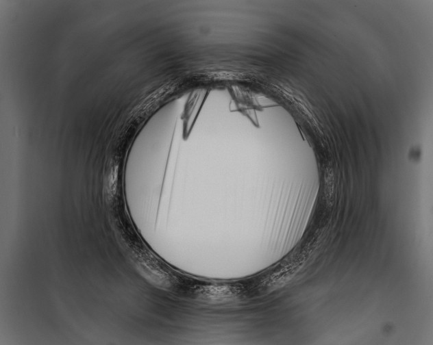 X0000099960406200806201342