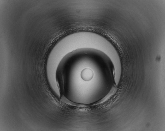 X0000099960407200806201342