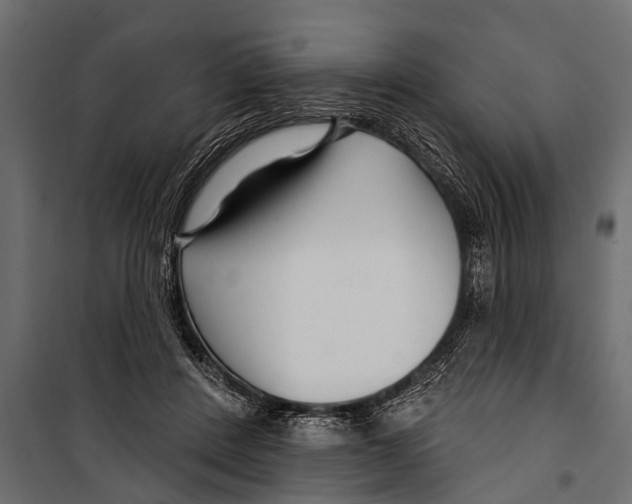 X0000099960408200806201342