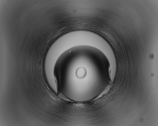 X0000099960409200806201342