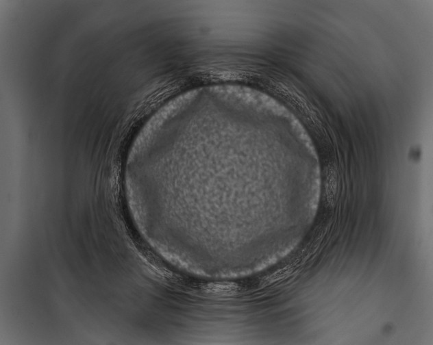 X0000099960410200806201342