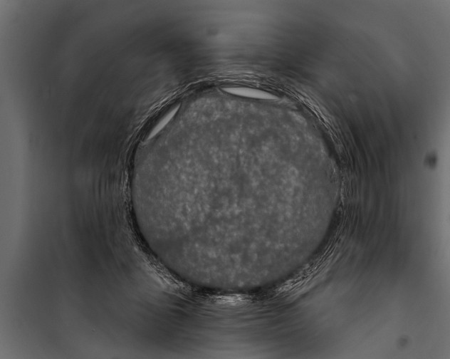 X0000099960411200806201342