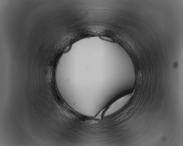 X0000099960412200806201342