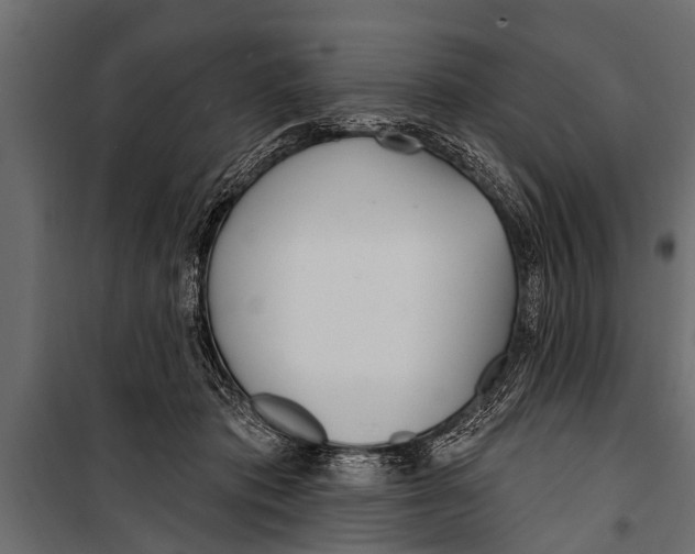 X0000099960413200806201342