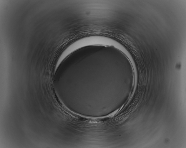 X0000099960415200806201341