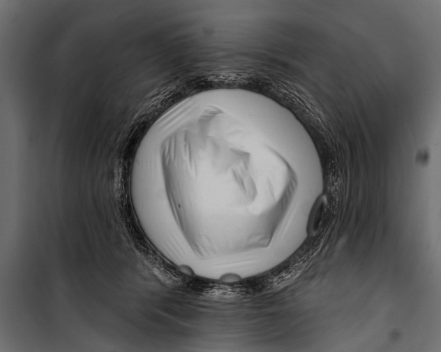 X0000099960416200806201341
