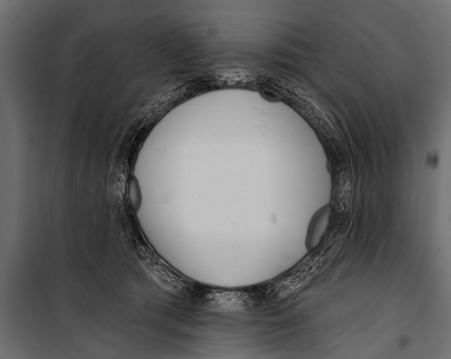 X0000099960417200806201341
