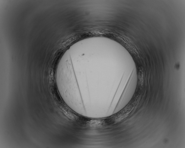 X0000099960418200806201341