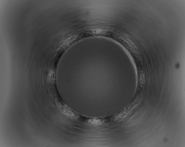 X0000099960419200806201341