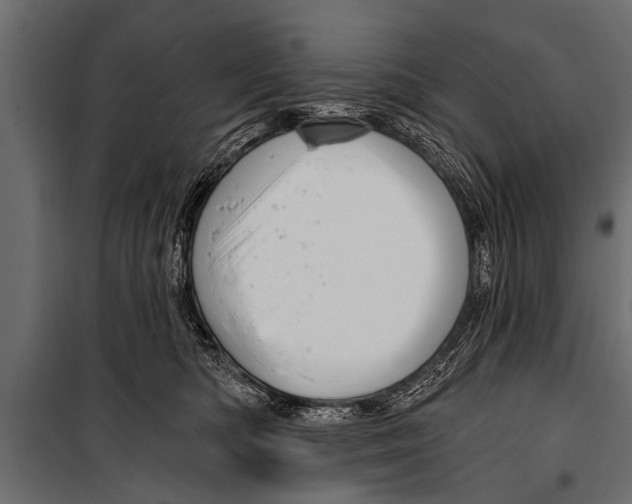 X0000099960422200806201341