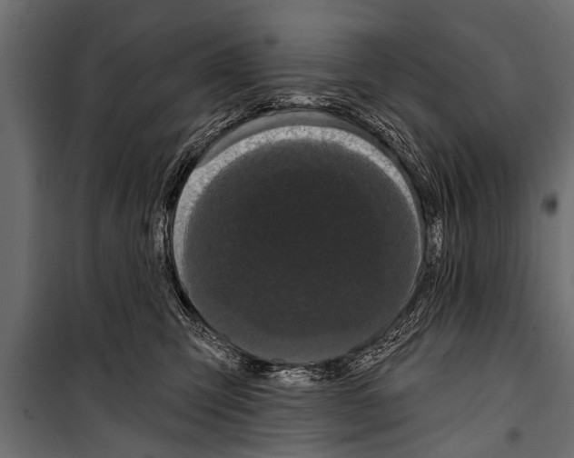 X0000099960423200806201341
