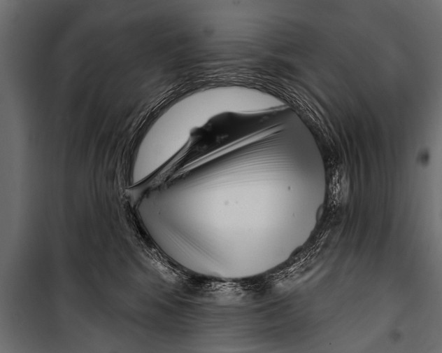 X0000099960424200806201341