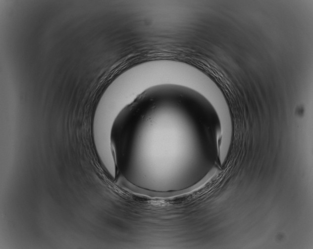 X0000099960425200806201341