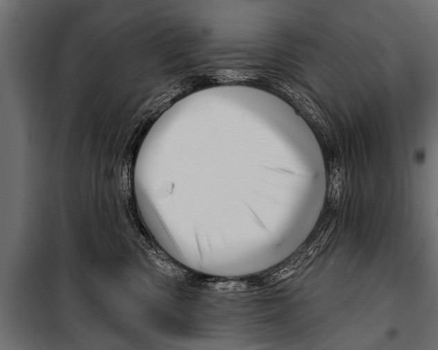 X0000099960426200806201341