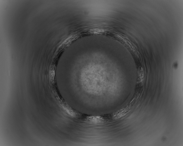 X0000099960427200806201341