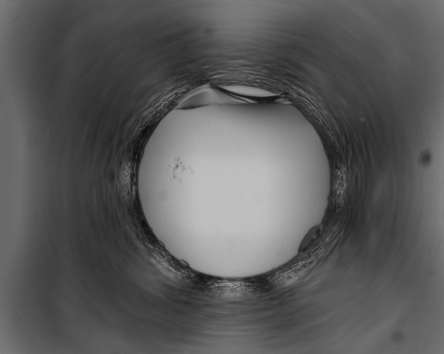X0000099960428200806201341