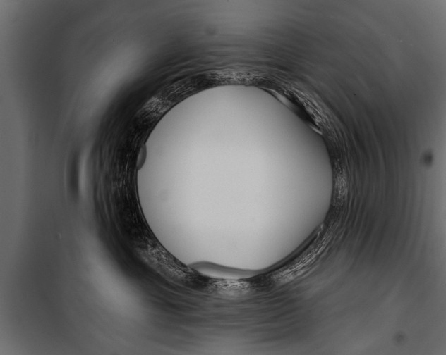 X0000099960429200806201341