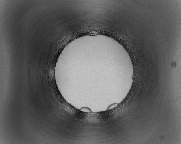 X0000099960432200806201341