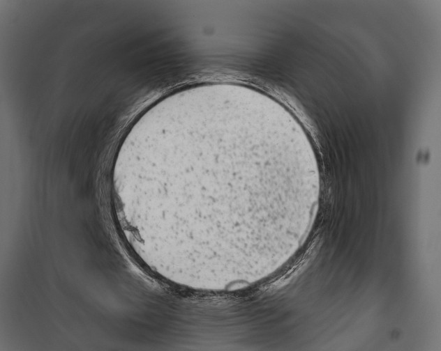 X0000099960433200806201341