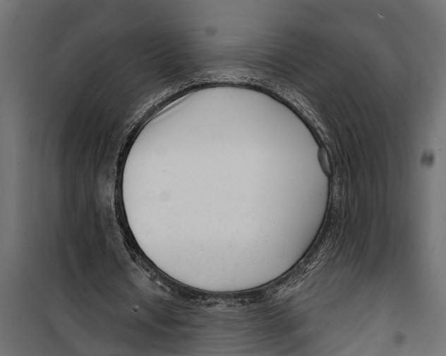 X0000099960434200806201341