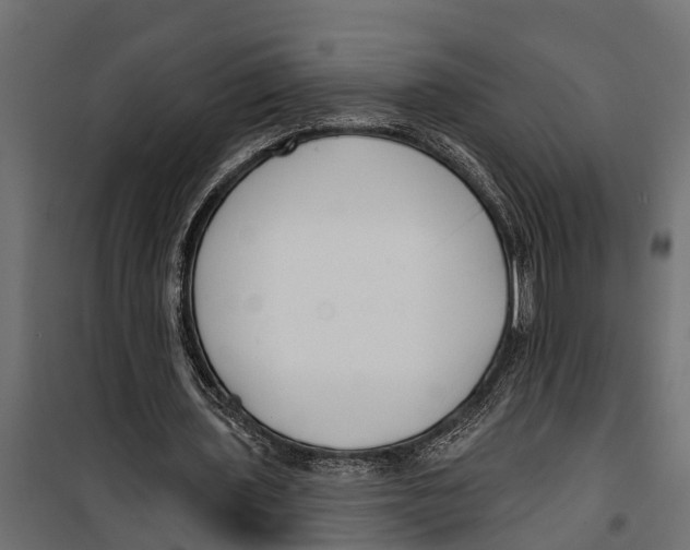 X0000099960435200806201341
