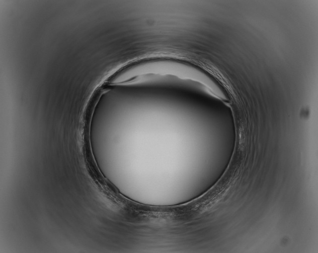 X0000099960436200806201341