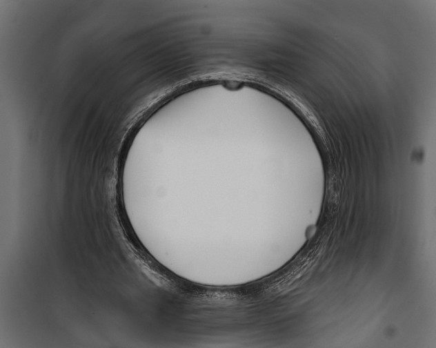 X0000099960437200806201341